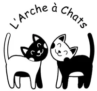 L'arche à chats