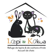 Loopi & Kokoa