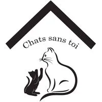 Chats Sans Toi