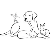 Des coeurs pour les pattes du 93