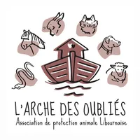 L’arche des oubliés du 33