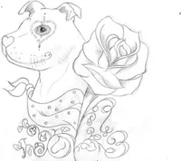 Roses et Bandanas