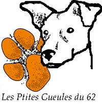 Les Ptites Gueules du 62