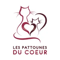 Les Pattounes du Coeur