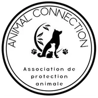 Animal Connection