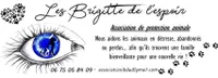 Les Brigitte de l'espoir