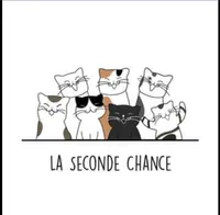 La Seconde Chance