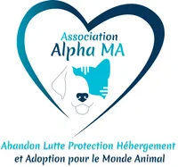 Association Alpha ma