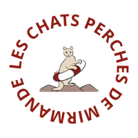 Les chats perchés de Mirmande
