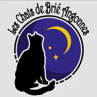Les chats de Brié Angonnes