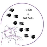 Les Chats de Saint-Charles
