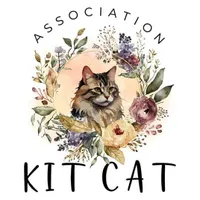 Kit Cat