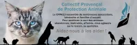 Collectif Provençal de Protection Animale