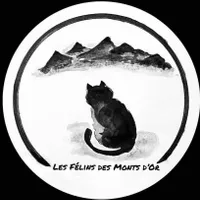 Les Félins des Monts d’Or