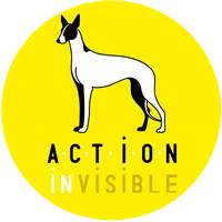 Action Invisible - Réseau pour les oubliés des refuges espagnols