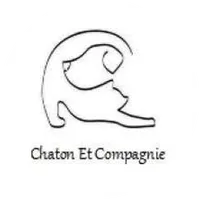 Chaton et compagnie