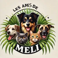 Les amis de Méli