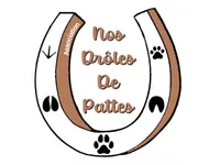 Nos drôles de pattes