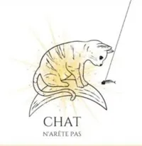 Chat n'arête pas