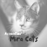 Association Mira Cats