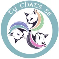 Ty chats  56