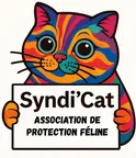 Syndi'Cat
