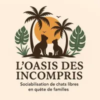 L’oasis Des Incompris