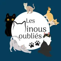 Les Minous oubliés