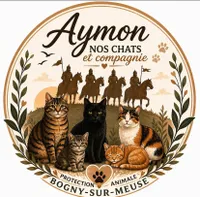 Aymon nos chats et compagnie