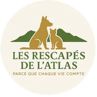 Les rescapés de l'Atlas
