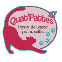 Quat'pattes 47