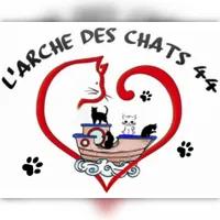 L'arche des chats 44