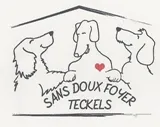 Teckels sans doux foyer