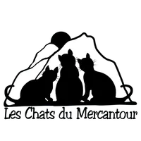 Les Chats du Mercantour