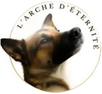 L'Arche Éternité
