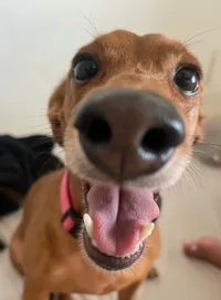 Noa
