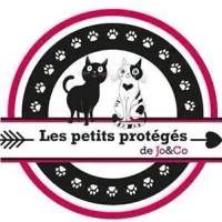 Les Petits Protégés de Jo & Co