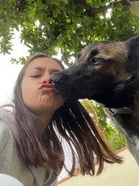 Dog Zenby Morgane
