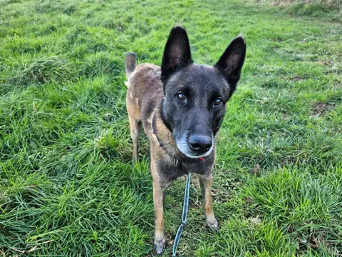 Rodger photo 3