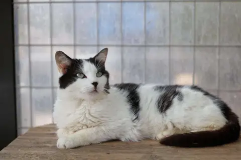 Hermione (FR) photo 2