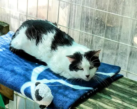 Hermione (FR) photo 3