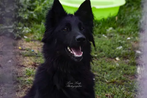 KAYLHI photo 6