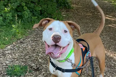 RAGNAR