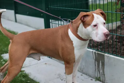 RAGNAR photo 2