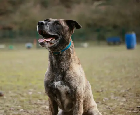ZEUS photo 3