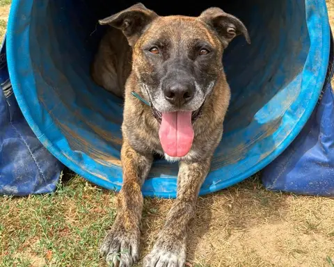 ZEUS photo 2