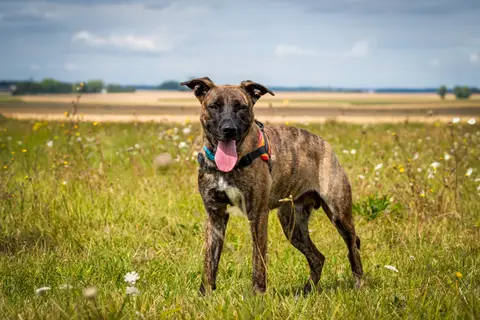 ZEUS photo 15