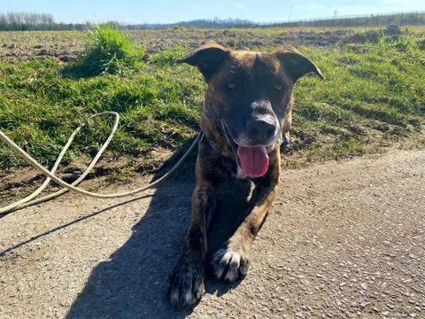 ZEUS photo 12