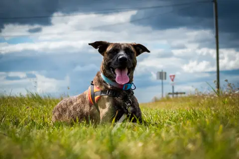 ZEUS photo 17