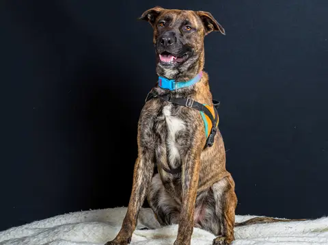 ZEUS photo 18